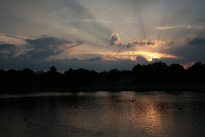 Sunset Over the Pond.jpg