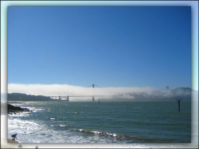 Golden Gate bridge in fog