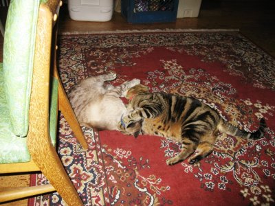 IMG_2742.JPG