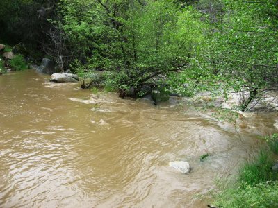 IMG_2745.JPG