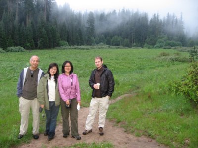 The Misty Meadow