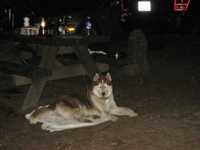 10_CampGuardian.JPG