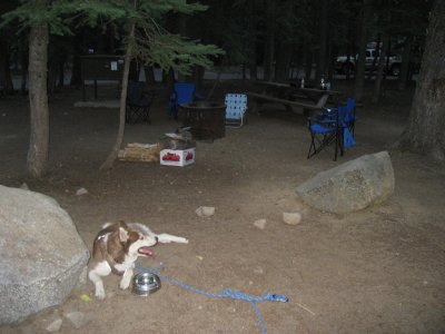 Ahhh...Camping