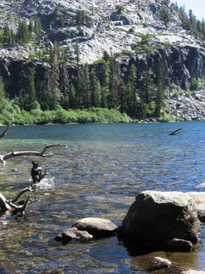 Eagle Lake and Happy Lab