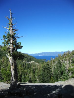 Scenic Lake Tahoe from Eagle Lake Area