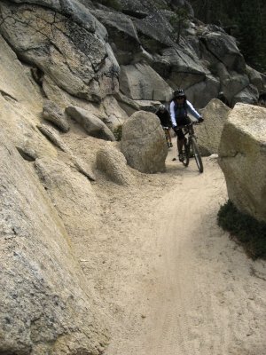Scenic Trail Section