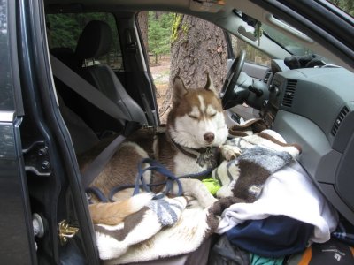 Can we get going please !