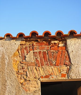 IMG_3155.jpg
