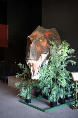 dinosaur_museum