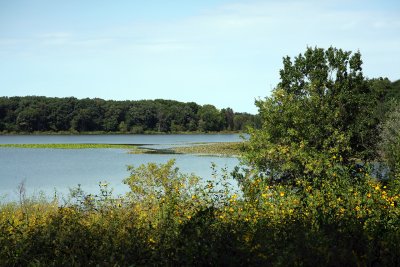 IMG_3499.JPG
