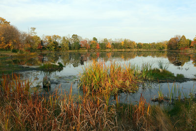IMG_3772B.jpg