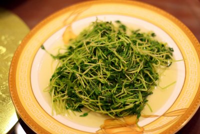 fine leaves of soya bean, dalian