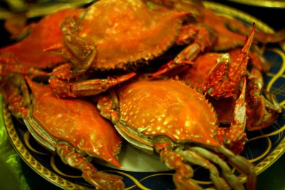 steamed meat crab, dalian
