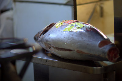 frozen tuna, tsukiji