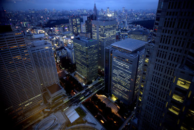 view from Metropolitan Tokyo Government building