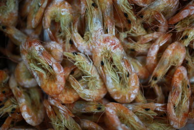 dried shrimp, Xiamen