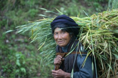 woman on remote hillside of yunan