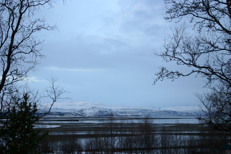 8 februar 2008