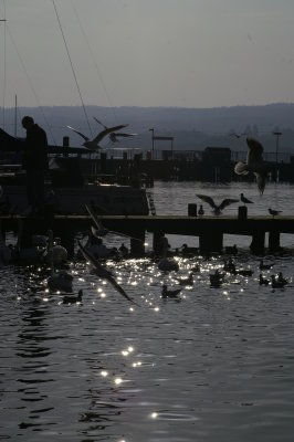 Evening jetty, Windermere