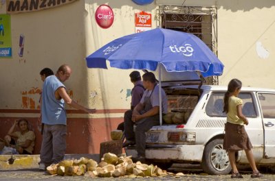 Coconut Seller