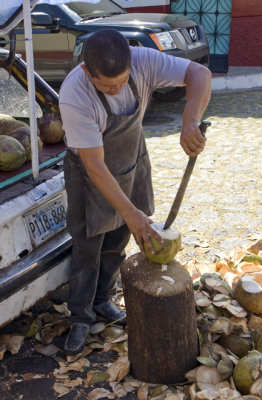 Coconut Seller