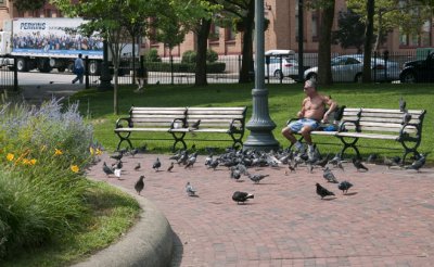 Feeding Pigeons