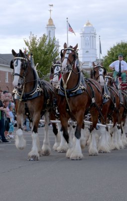 The Big E: The Clydesdales