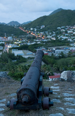 A Cannon at the Fort Louis