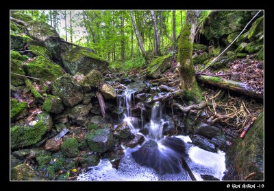 Svartvann (HDR)