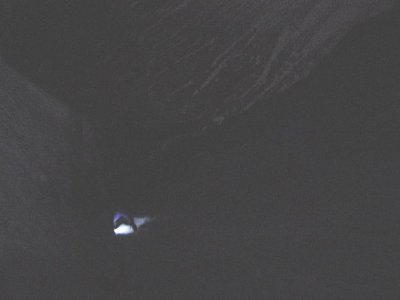Point Five Gulley (Half a Gulley By Moonlight)