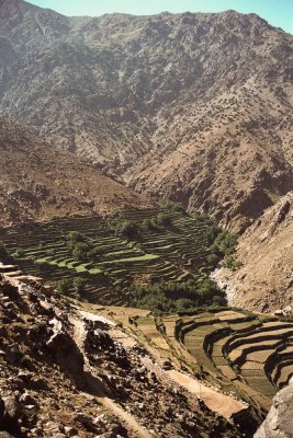 Terraces.