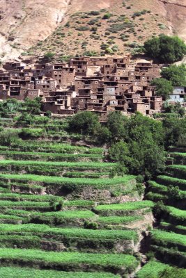 Berber village.