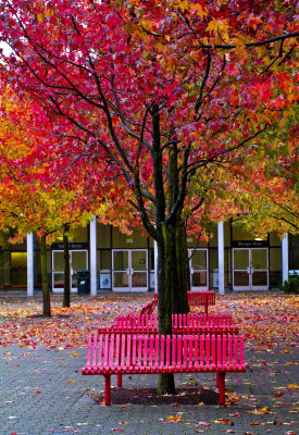 Seattle Center-0166-1.jpg