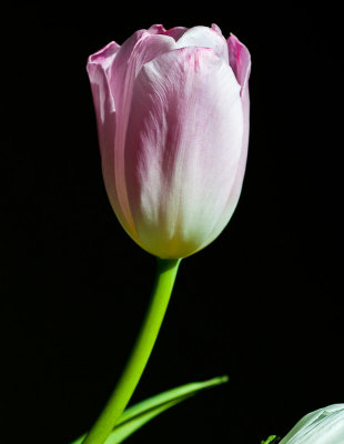 March 2