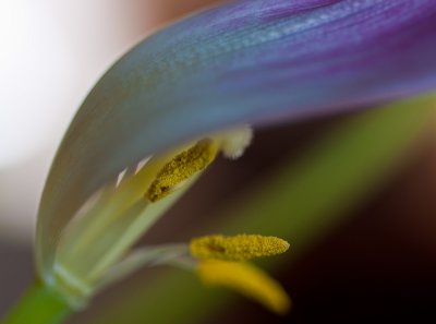 Beautiful Imperfection