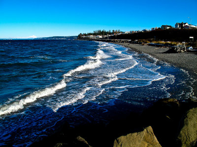 Edmonds beach-2273-1.jpg