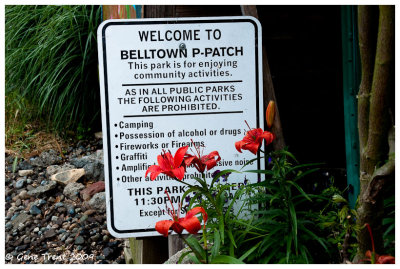 Belltown P-Patch-0031.jpg