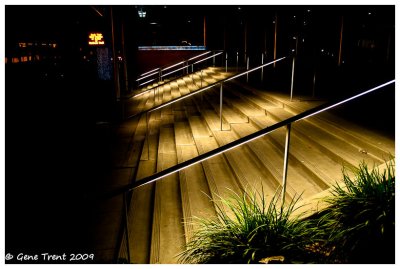 Out at night-0413.jpg
