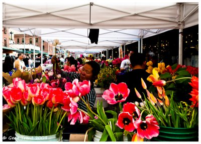 Market flowers-8631.jpg