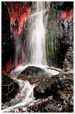 Waterfall-3153.jpg