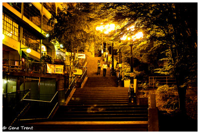 Out at night-0522.jpg