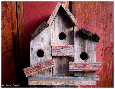 Birdhouse condominium-0088.jpg