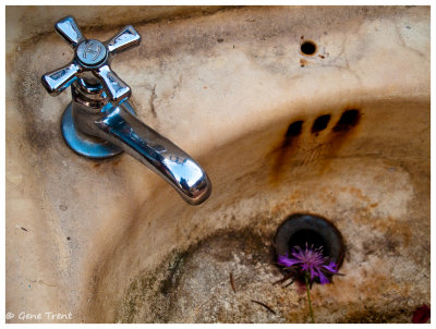 Dirty sink-0062.jpg