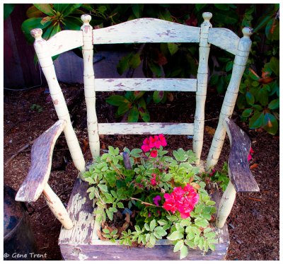 Flower pot chair-0093.jpg