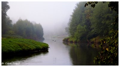 September 17,2009