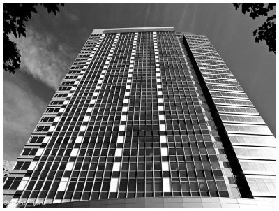 Bellevue