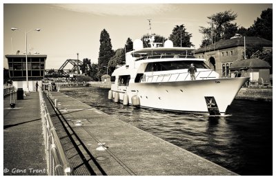 Ballard Locks-6648.jpg