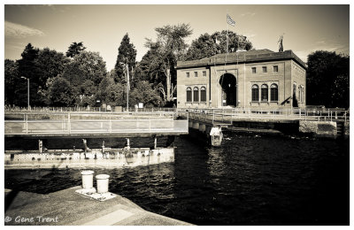 Ballard Locks-6651.jpg