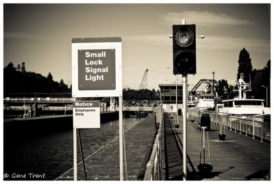 Ballard Locks-6587.jpg