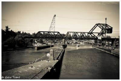 Ballard Locks-6652.jpg